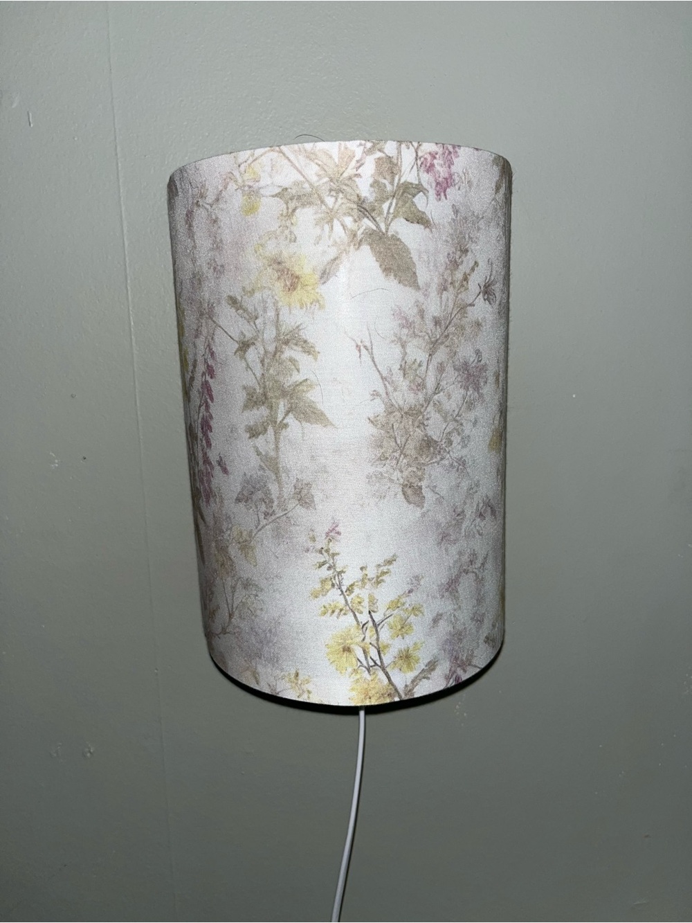 2 Wall Lamps Set of 2 Plug In